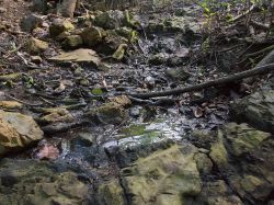Pos_Kayuda_20141127_020
